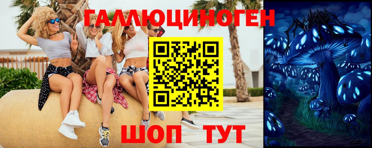 Галлюциногенные грибы Magic Shrooms  Галлюциногенные грибы Psilocybine cubensis  Вход с VPN  Кузнецк 